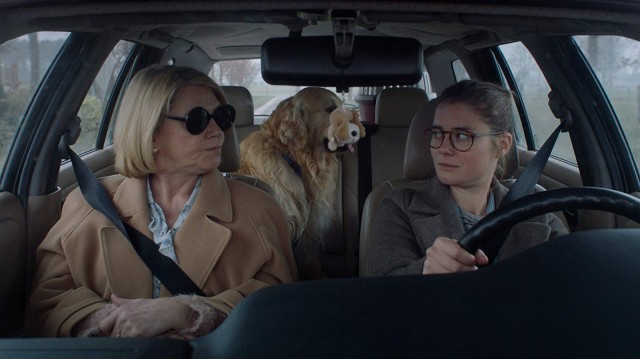 The Best of Dorien B fotoğrafı