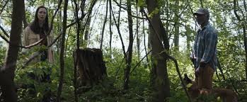 The Night House fotoğrafı