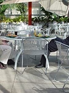 The Arsonist (2004) afişi