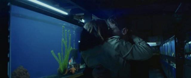 Little Fish Fotoğrafı