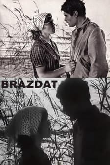 Brazdat (1973) afişi