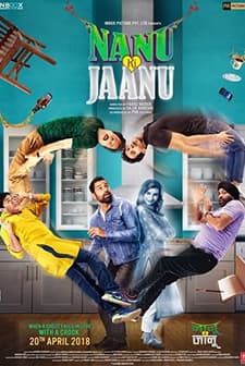 Nanu Ki Jaanu (2018) afişi