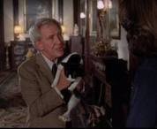 The Sentinel fotoğrafı