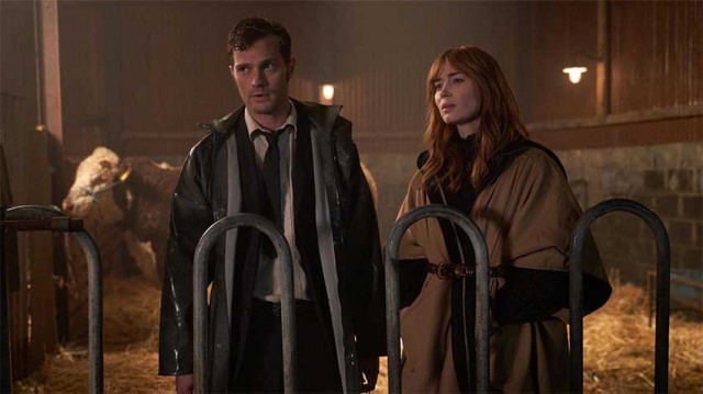 Wild Mountain Thyme fotoğrafı