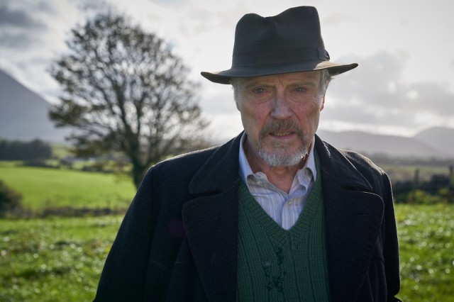 Wild Mountain Thyme Fotoğrafı