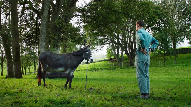 Wild Mountain Thyme Fotoğrafı