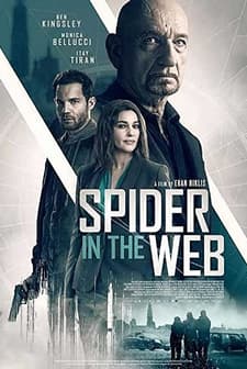 Spider in the Web (2019) afişi