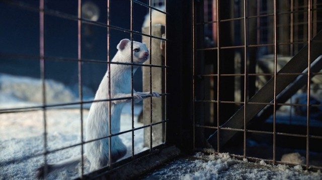 His Dark Materials Fotoğrafı