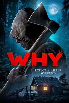 Why? (2019) afişi