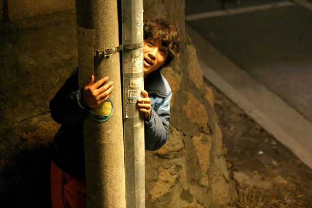 Ahmaklık Mucizesi Fotoğrafı