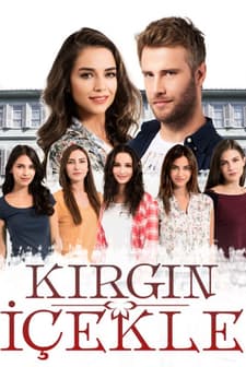 Kırgın Çiçekler (2024) afişi