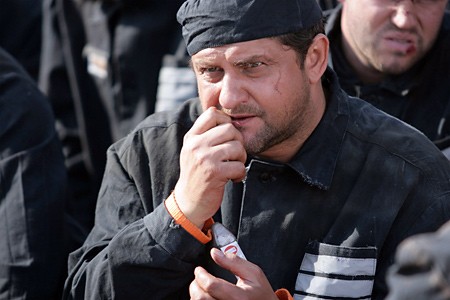 Terra Nova Fotoğrafı