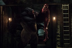 The Flash Fotoğrafı