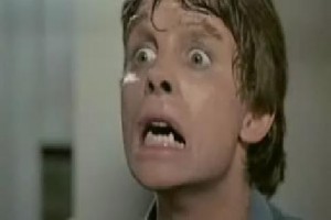 Genç Kurt Fotoğrafı