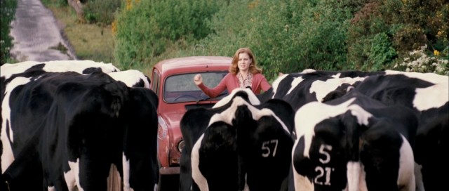 Aşka Yolculuk Fotoğrafı