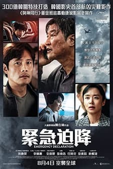 Acil İniş (2021) afişi