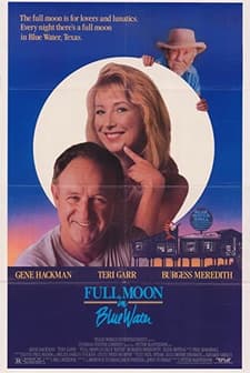 Mavi Sularda Dolunay (1988) afişi