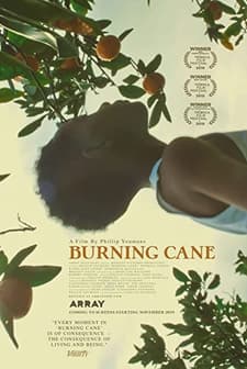 Burning Cane (2019) afişi