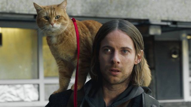 A Gift From Bob fotoğrafı