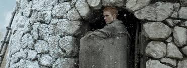 Raised by Wolves Fotoğrafı