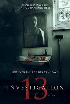 Investigation 13 (2019) afişi