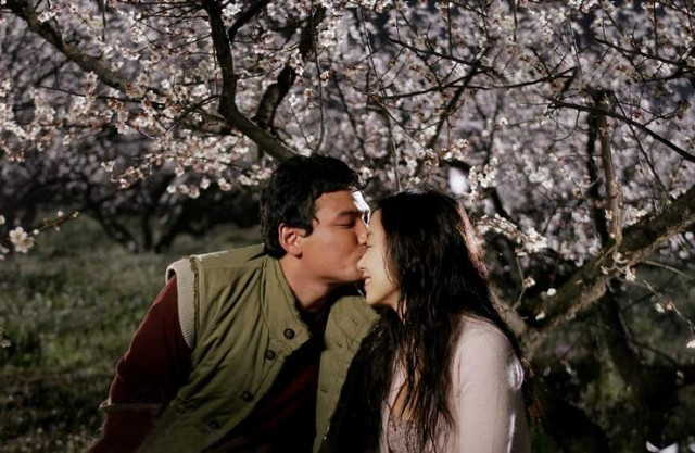 You Are My Sunshine fotoğrafı