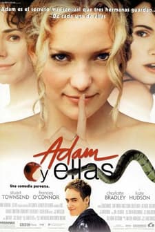 Aşkmatik (2000) afişi