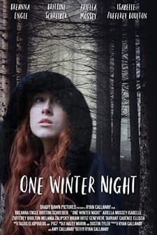 One Winter Night (2019) afişi