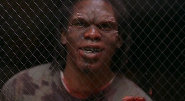 Ölülerin Günü 2 Fotoğrafı