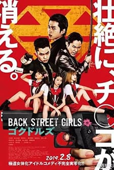 Back Street Girls (2019) afişi