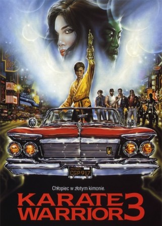 Karate Warrior 3 (1991) afişi