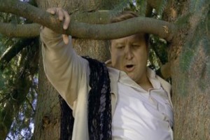 Harika Köpekler fotoğrafı