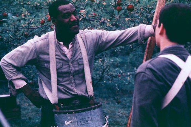 Tanrının Eseri Şeytanın Parçası Fotoğrafı