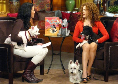 New York Köleleri fotoğrafı