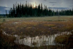 Elina: As If I Wasn't There Fotoğrafı