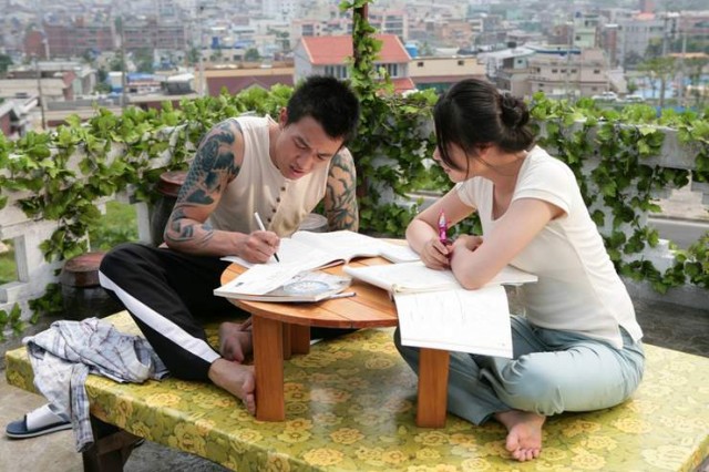 Ayçiçeği Fotoğrafı