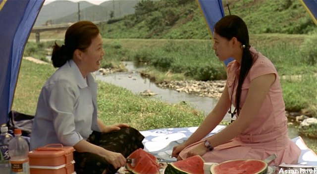 Ayçiçeği fotoğrafı