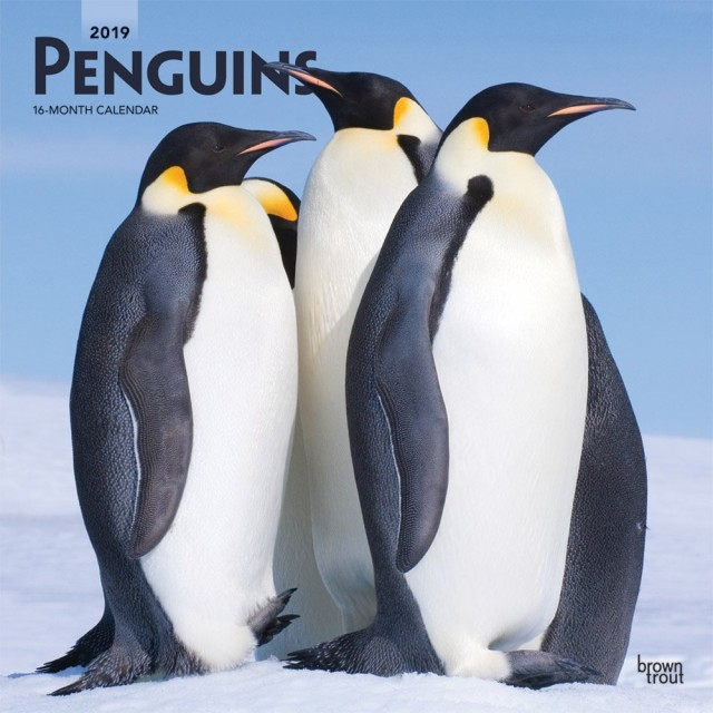 Penguins (2019) afişi