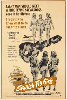 İsveçli Kızlar (1971) afişi