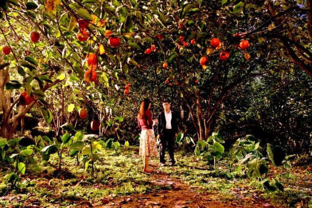 Meeting Center Fotoğrafı