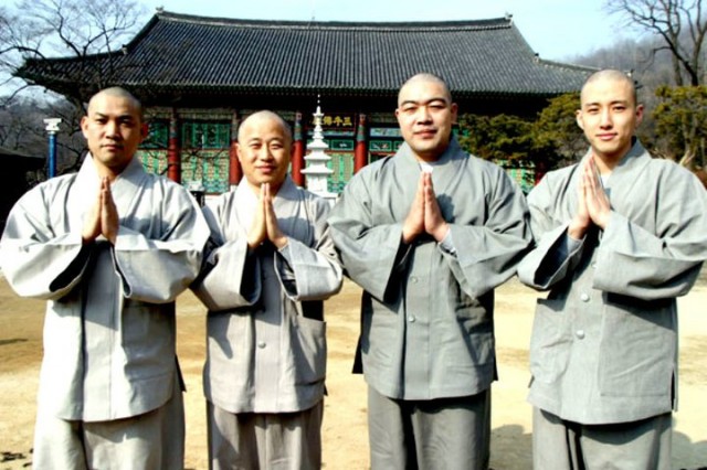 Hi! Dharma 2: Showdown in Seoul Fotoğrafı