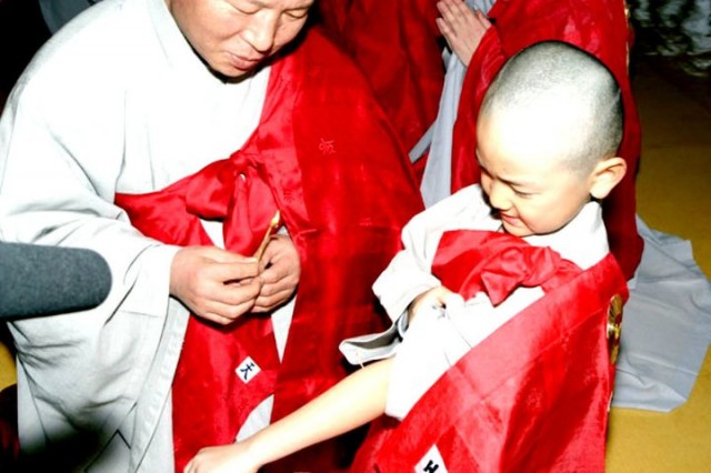 Hi! Dharma 2: Showdown in Seoul Fotoğrafı