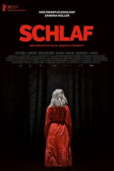 Schlaf (2020) afişi