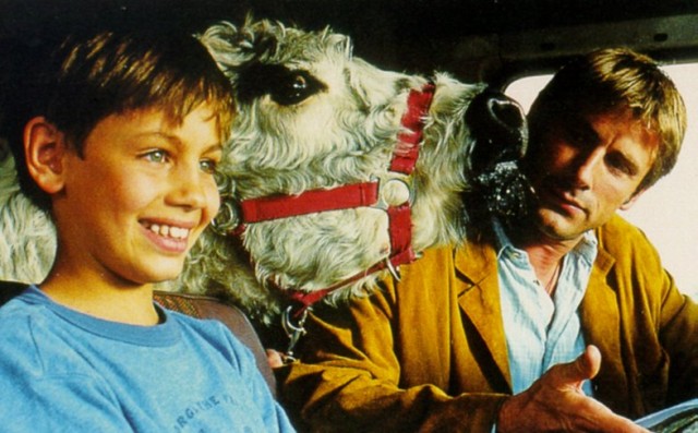 La Vache Et Le Président fotoğrafı