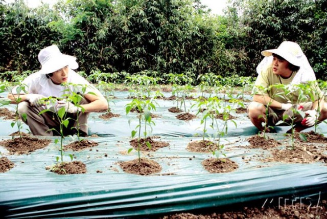 Love So Divine Fotoğrafı