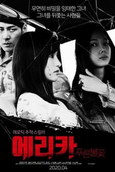 Erica: Blue Flame (2020) afişi