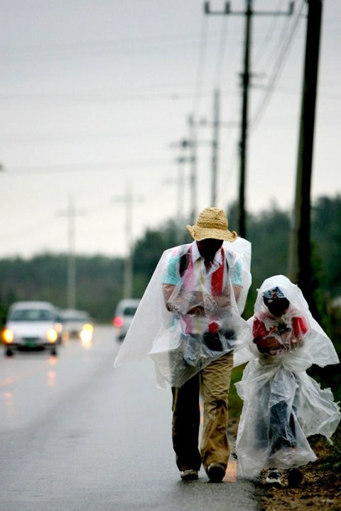 Cracked Eggs And Noodles Fotoğrafı