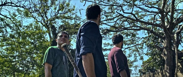 Infección fotoğrafı