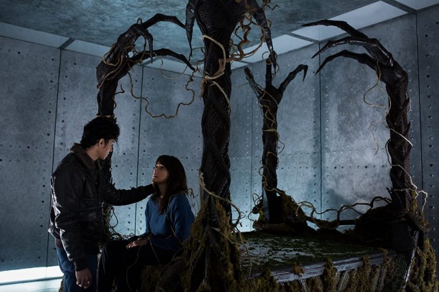 Motel Acacia fotoğrafı