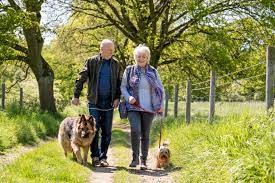 23 Yürüyüş fotoğrafı